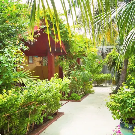 Beach Villa Ukulhas-3